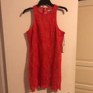 Lovers + Friends shift lace dress